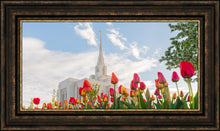 Load image into Gallery viewer, Ogden Flowers

