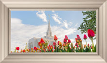 Load image into Gallery viewer, Ogden Flowers
