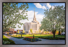 Load image into Gallery viewer, Ogden Grounds
