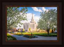 Load image into Gallery viewer, Ogden Grounds
