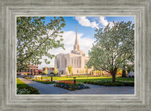 Load image into Gallery viewer, Ogden Grounds
