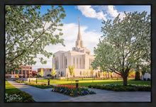 Load image into Gallery viewer, Ogden Grounds
