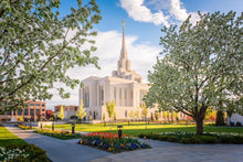 Load image into Gallery viewer, Ogden Grounds
