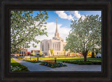 Load image into Gallery viewer, Ogden Grounds
