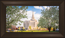 Load image into Gallery viewer, Ogden Grounds
