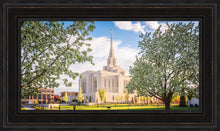 Load image into Gallery viewer, Ogden Grounds
