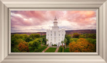 Load image into Gallery viewer, St. George Aerial
