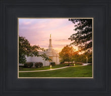 Load image into Gallery viewer, Palmyra Oh How Lovely was the Morning
