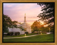 Load image into Gallery viewer, Palmyra Oh How Lovely was the Morning
