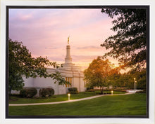Load image into Gallery viewer, Palmyra Oh How Lovely was the Morning
