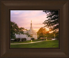 Load image into Gallery viewer, Palmyra Oh How Lovely was the Morning

