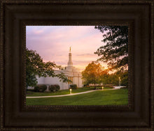 Load image into Gallery viewer, Palmyra Oh How Lovely was the Morning
