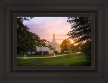 Load image into Gallery viewer, Palmyra Oh How Lovely was the Morning

