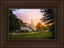 Load image into Gallery viewer, Palmyra Oh How Lovely was the Morning
