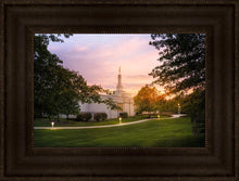 Load image into Gallery viewer, Palmyra Oh How Lovely was the Morning
