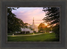 Load image into Gallery viewer, Palmyra Oh How Lovely was the Morning
