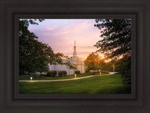 Load image into Gallery viewer, Palmyra Oh How Lovely was the Morning
