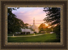 Load image into Gallery viewer, Palmyra Oh How Lovely was the Morning
