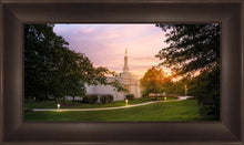 Load image into Gallery viewer, Palmyra Oh How Lovely was the Morning
