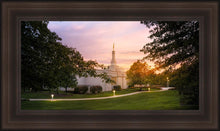 Load image into Gallery viewer, Palmyra Oh How Lovely was the Morning
