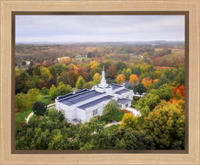 Load image into Gallery viewer, Palmyra and Sacred Grove Aerial
