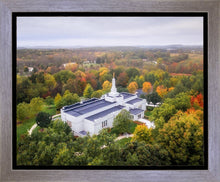 Load image into Gallery viewer, Palmyra and Sacred Grove Aerial
