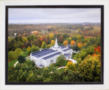 Load image into Gallery viewer, Palmyra and Sacred Grove Aerial
