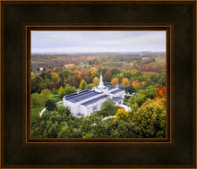 Load image into Gallery viewer, Palmyra and Sacred Grove Aerial
