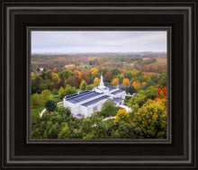Load image into Gallery viewer, Palmyra and Sacred Grove Aerial
