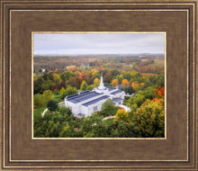 Load image into Gallery viewer, Palmyra and Sacred Grove Aerial
