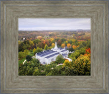 Load image into Gallery viewer, Palmyra and Sacred Grove Aerial
