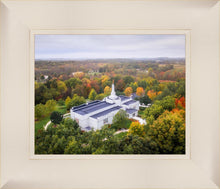 Load image into Gallery viewer, Palmyra and Sacred Grove Aerial
