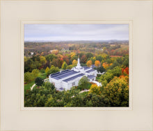 Load image into Gallery viewer, Palmyra and Sacred Grove Aerial
