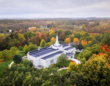 Load image into Gallery viewer, Palmyra and Sacred Grove Aerial
