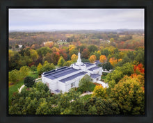 Load image into Gallery viewer, Palmyra and Sacred Grove Aerial
