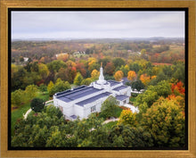 Load image into Gallery viewer, Palmyra and Sacred Grove Aerial
