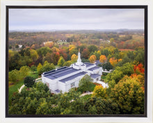 Load image into Gallery viewer, Palmyra and Sacred Grove Aerial
