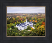 Load image into Gallery viewer, Palmyra and Sacred Grove Aerial
