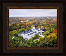 Load image into Gallery viewer, Palmyra and Sacred Grove Aerial
