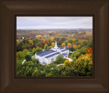 Load image into Gallery viewer, Palmyra and Sacred Grove Aerial
