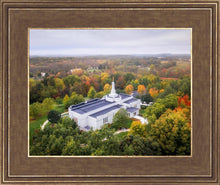 Load image into Gallery viewer, Palmyra and Sacred Grove Aerial
