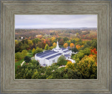 Load image into Gallery viewer, Palmyra and Sacred Grove Aerial
