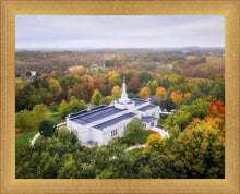 Load image into Gallery viewer, Palmyra and Sacred Grove Aerial
