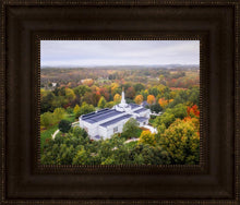 Load image into Gallery viewer, Palmyra and Sacred Grove Aerial
