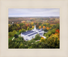 Load image into Gallery viewer, Palmyra and Sacred Grove Aerial
