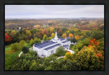 Load image into Gallery viewer, Palmyra and Sacred Grove Aerial
