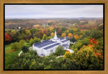 Load image into Gallery viewer, Palmyra and Sacred Grove Aerial
