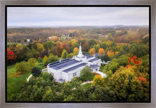 Load image into Gallery viewer, Palmyra and Sacred Grove Aerial
