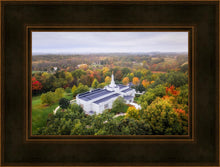 Load image into Gallery viewer, Palmyra and Sacred Grove Aerial
