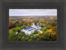 Load image into Gallery viewer, Palmyra and Sacred Grove Aerial
